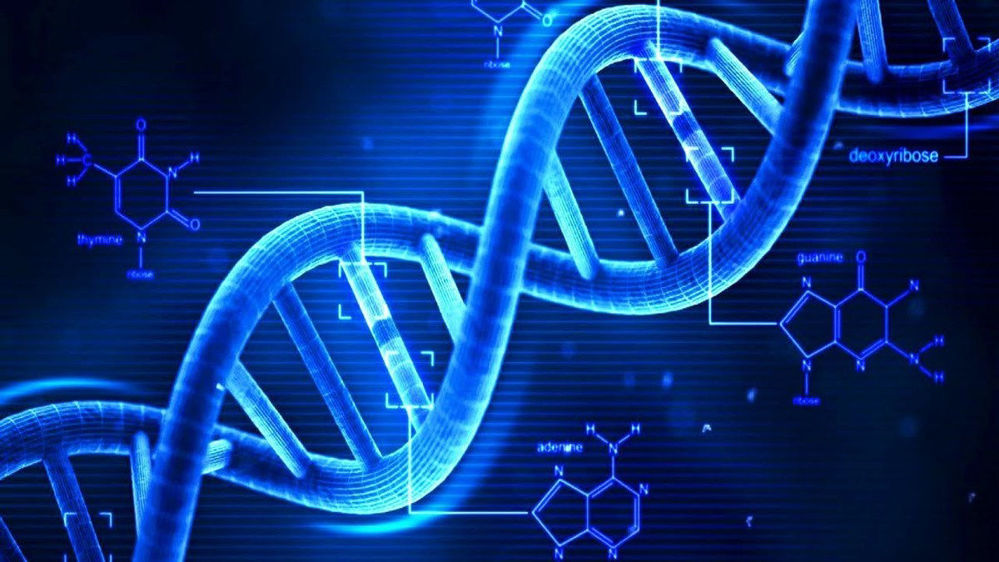 اینترنت DNA چیست؟